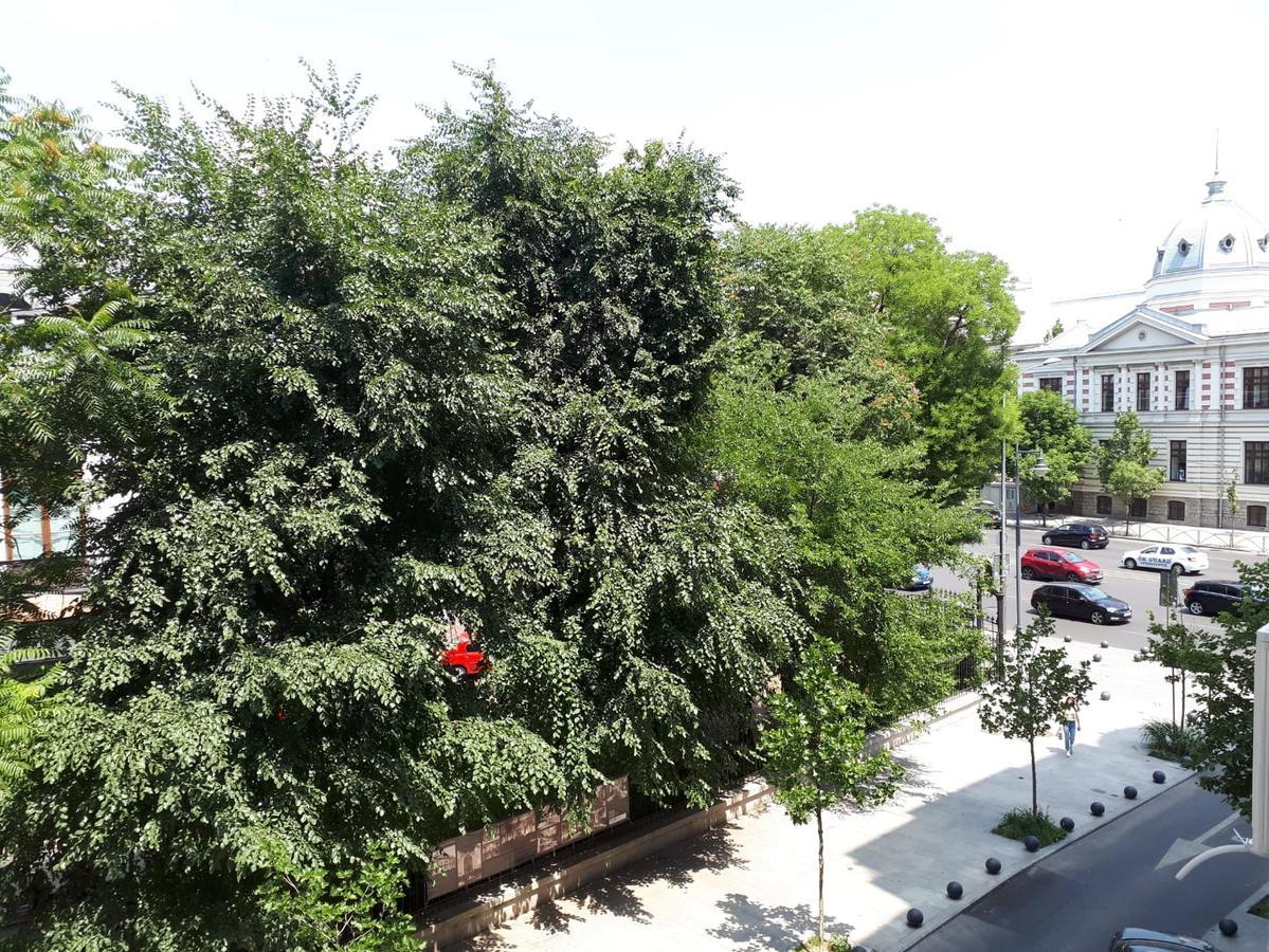 בוקרשט Studio Old Center מראה חיצוני תמונה