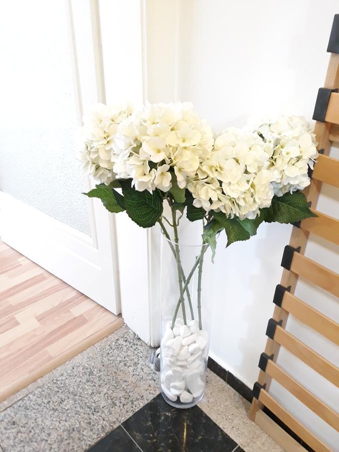 בוקרשט Studio Old Center מראה חיצוני תמונה